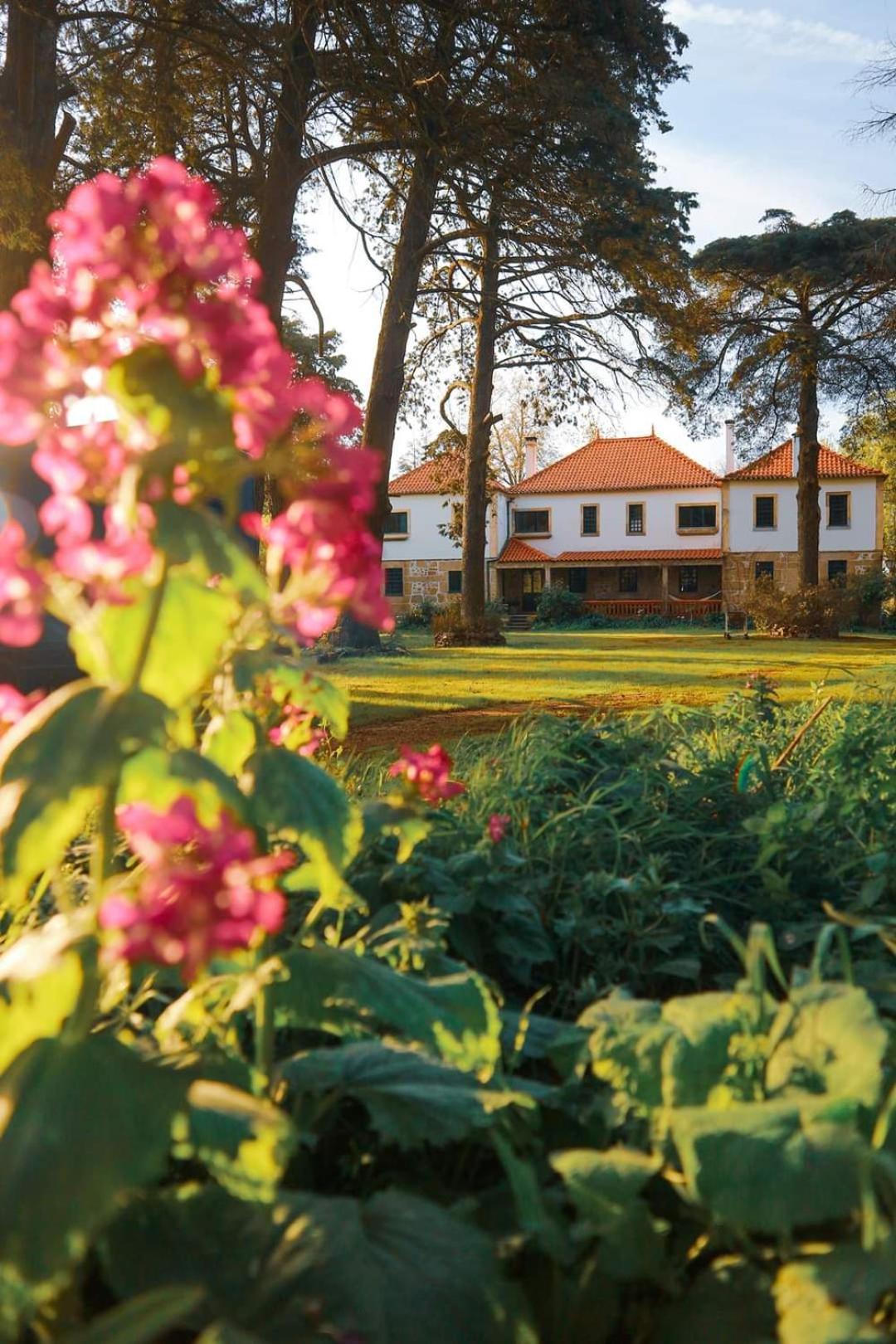 Lugar Da Pedra Alta - B&B - Private Historical Villa Melo Exteriör bild