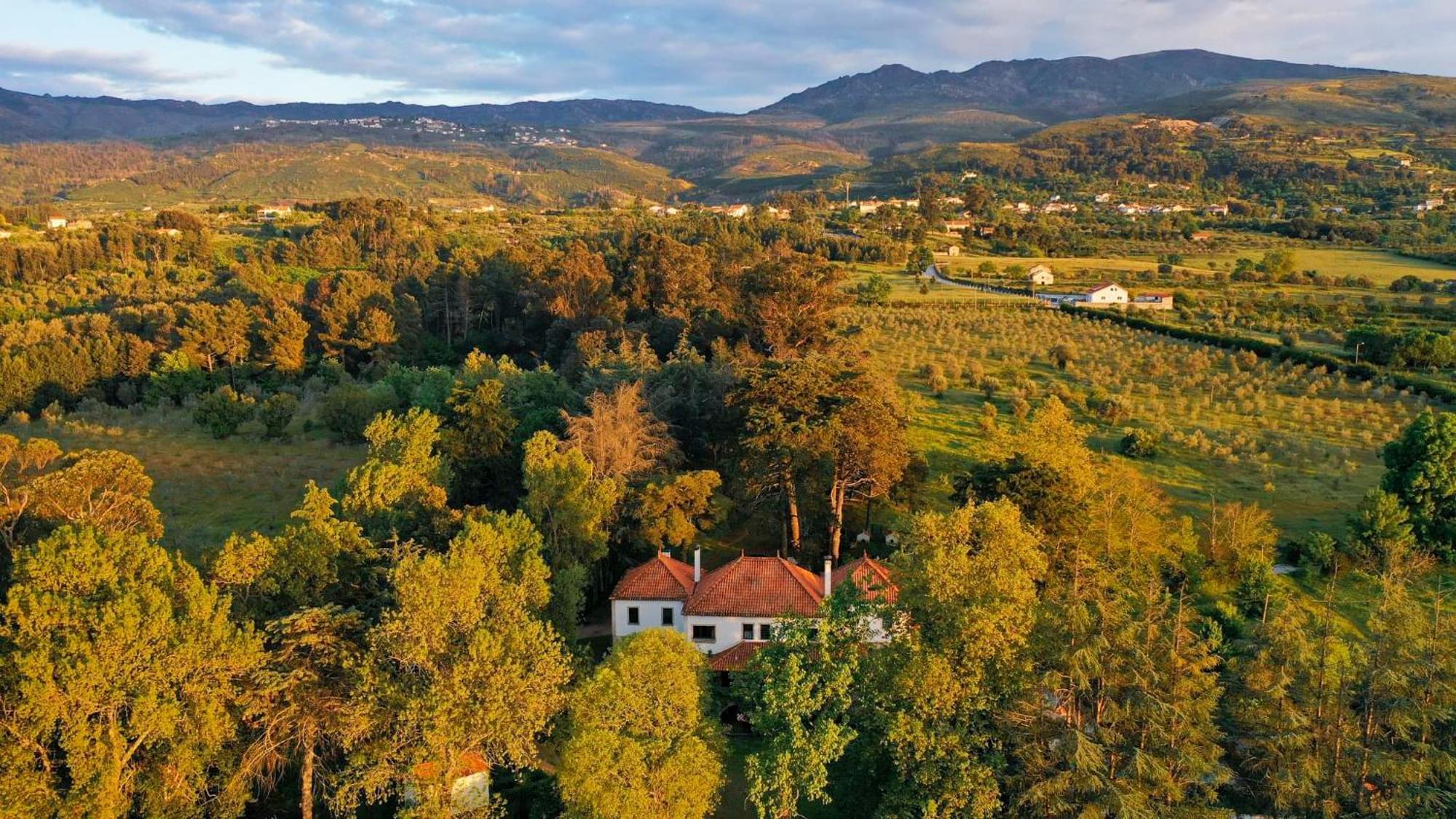 Lugar Da Pedra Alta - B&B - Private Historical Villa Melo Exteriör bild